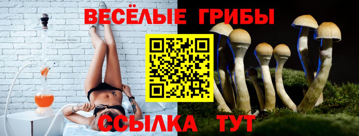 Псилоцибиновые грибы MAGIC MUSHROOMS Белово