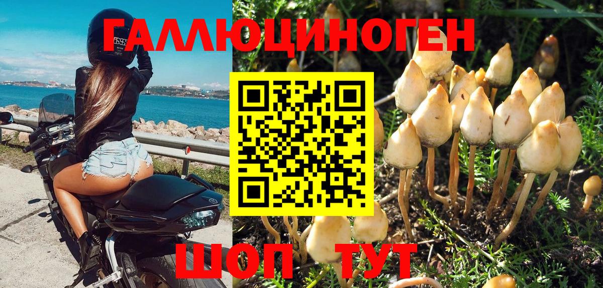Галлюциногенные грибы MAGIC MUSHROOMS  Галлюциногенные грибы Magic Shrooms  Вход с VPN  Белово 